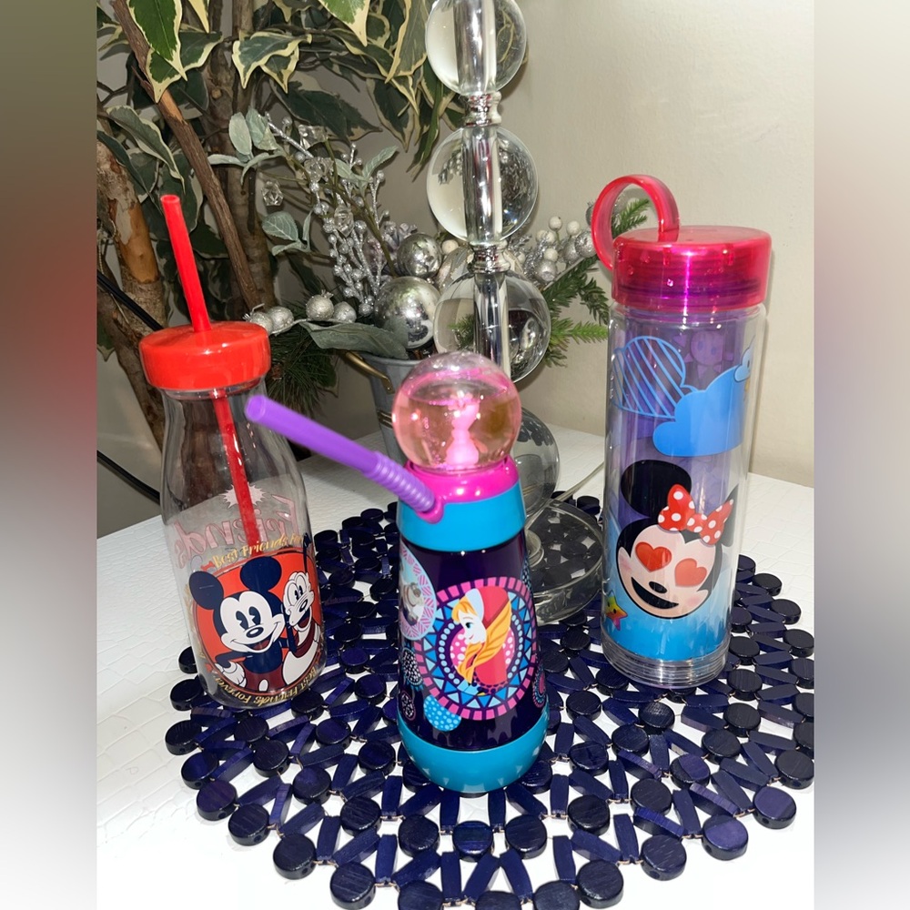 3 Piece Kids Disney Water Bottles Set.